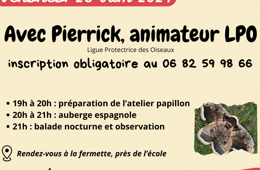 Découverte des papillons de nuit du sud-gironde