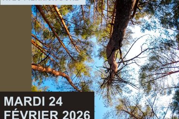 Formulaire de déclaration de poteaux telecom par terre