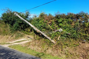 Conférence, la forêt en sud Gironde